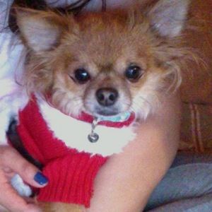 Meet your Posher, Delma